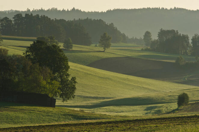 Kulturlandschaft bei Arbesbach