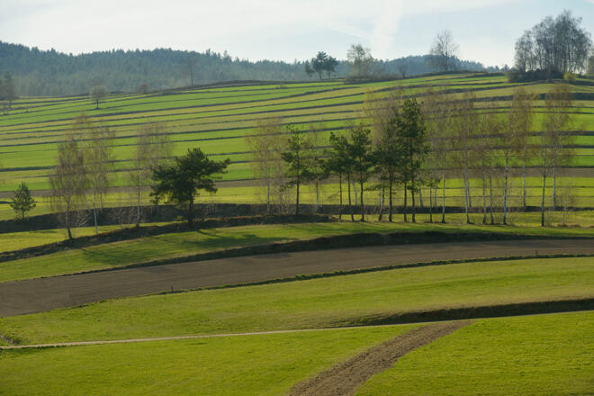 Streifenfluren Groß Gerungs