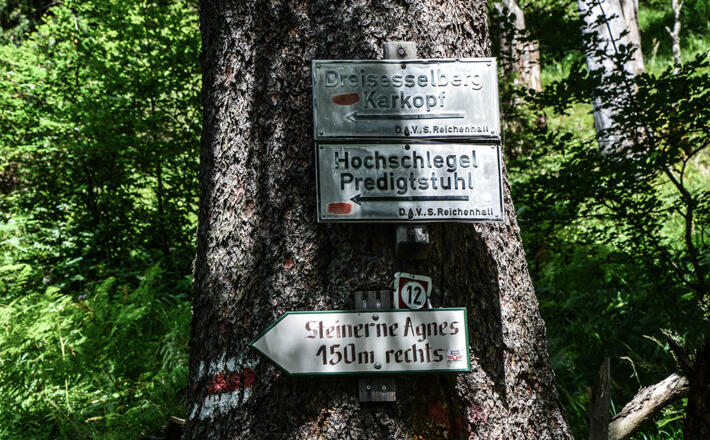 Wegweiser zur Agnes