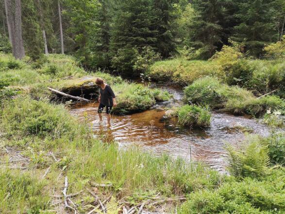 Kampwaldidyll Lehrmühle - Großer Kamp