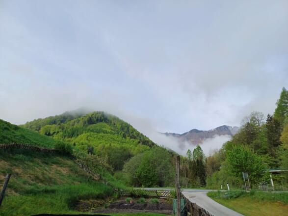 Nebelverhangene Hügel