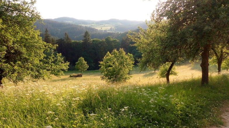 Rappottenstein - Blick von der Burg