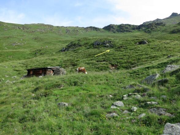 Vorbei an der kleinen Almhütte