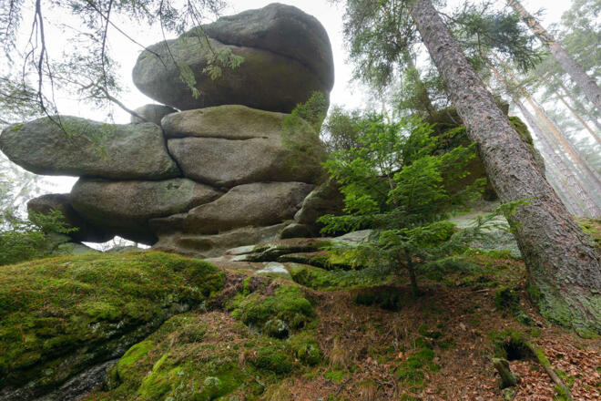 Sidestep Felsengarten