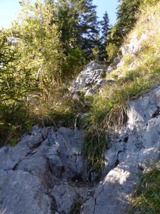 Am Sappensteig