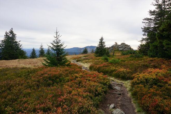 Zwercheck und daneben Gr. Arber