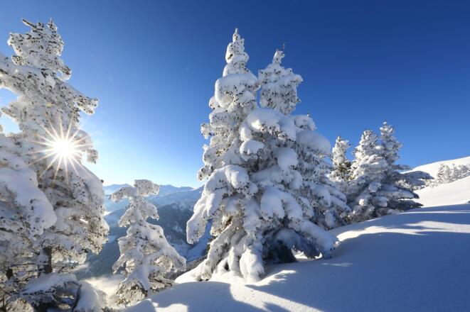 Winterlandschaft