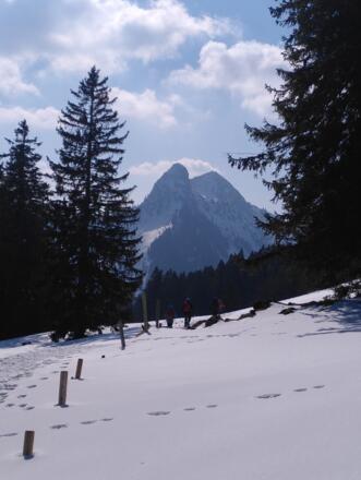 Schöne Ausblicke auf die Bayerischen Alpen im Abstieg