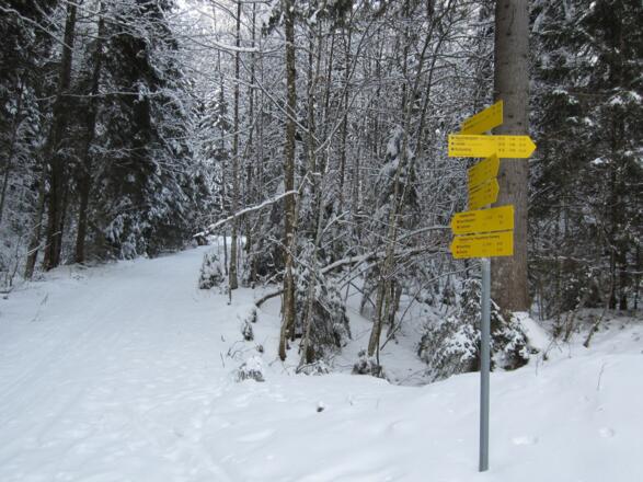 beim Aufstieg immer den Wegweisern folgen