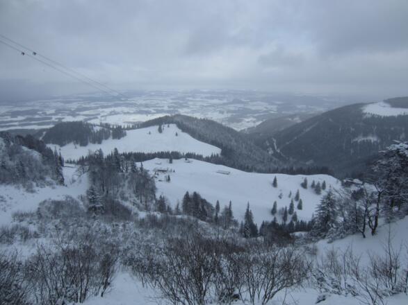 Almgelände Bründling Alm - Skigebiet