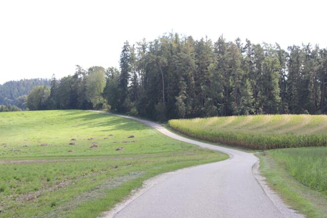 Weg nach Frauensattling