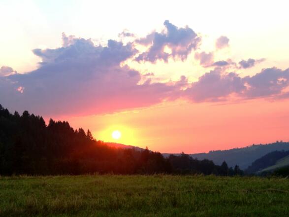 gepflegte Naturlandschaft