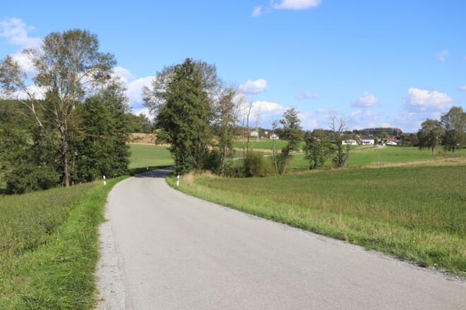 Straße zwischen Schnedenhaarbach und Haarbach