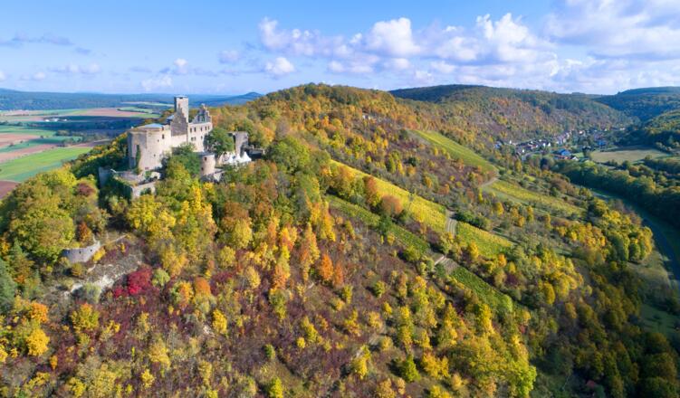 Trimburg