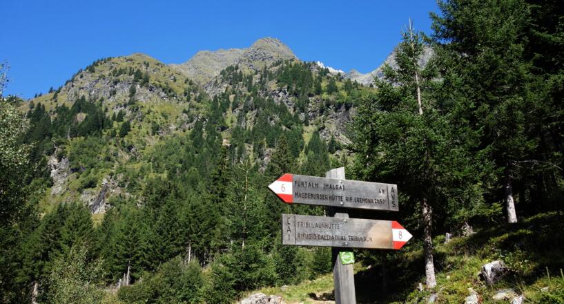 Wegtafel Tribulaunhütte ~1535m