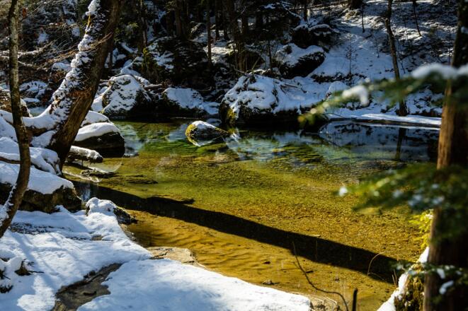 Farbenspiel im Haldertobel