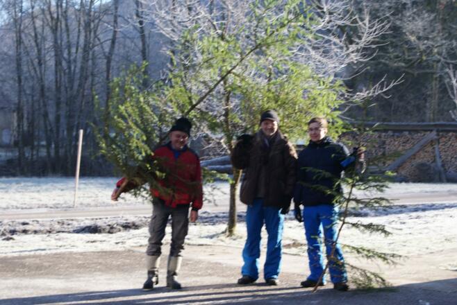 Pferde im Winter-Auslauf
