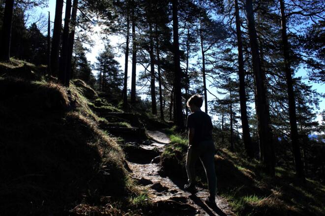 Im oberen Teil des Hüttenzustiegs