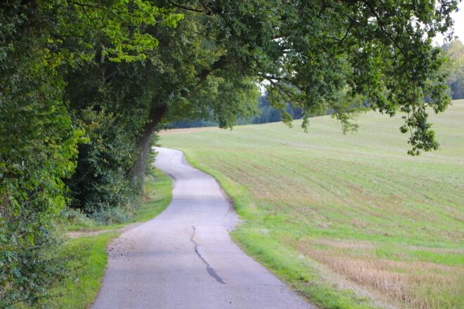 Weg entlang einer Waldlichtung vor Hörasdorf