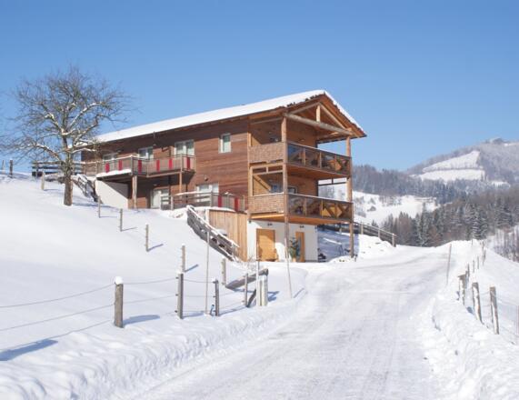 Kater `Strizzi`