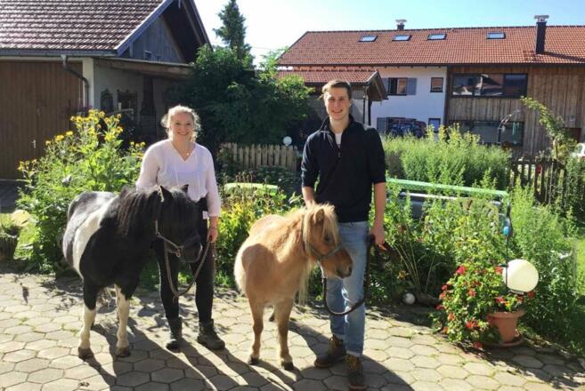 ponys