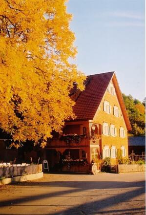 goldener_herbst