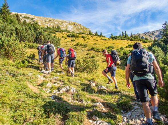 Nachdem wir den Wald verlassen, kommen wir auf Almwiesen. Unser Weg führt stetig bergauf.