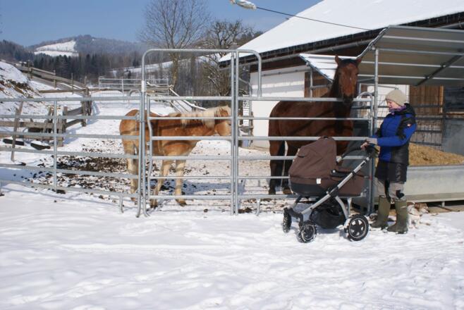 Hofansicht Winter