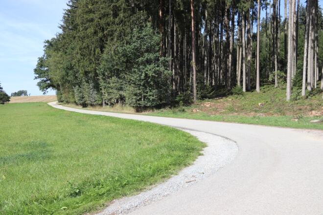 Strasse am Waldrand