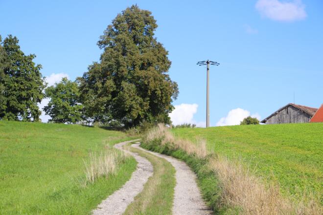 Feldweg vor Adlhub