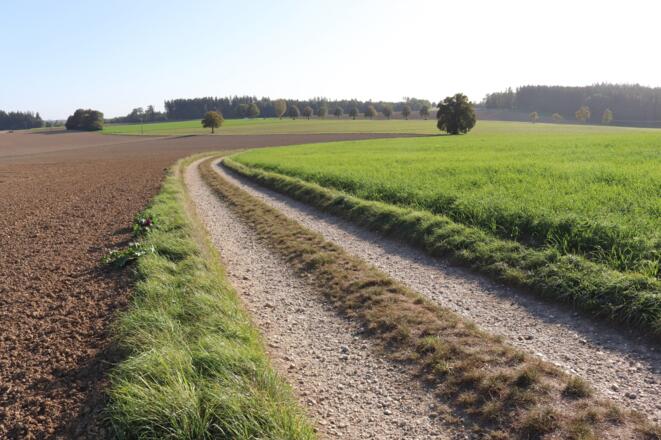 Weg zwischen Grossmaulberg und Zeiling