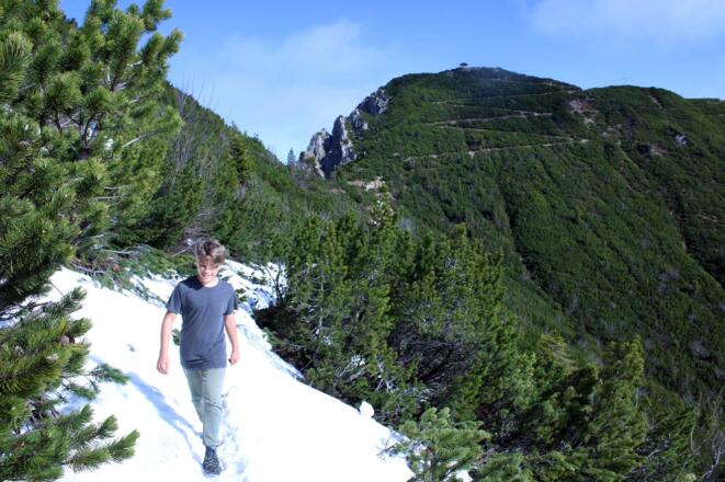 Schlussanstieg zum Martinskopf
