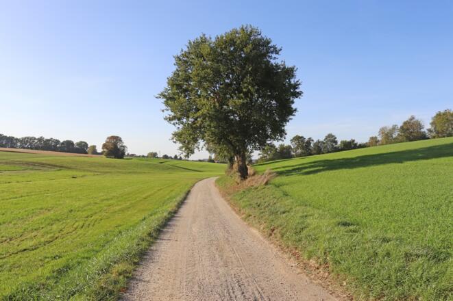Weg zwischen Zeiling und Vilsbiburg