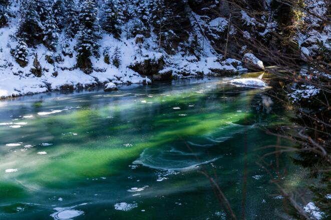 Winter im Haldertobel
