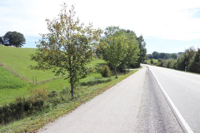 Radweg zwischen Achldorf und Sippenbach