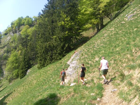 Ostflanke des Gasselkogels