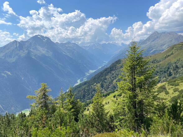 Das Panorama in das hintere Stubaital mit dem mächtigen Habicht entschädigt für die Mühen.