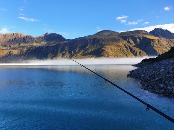 Bilder Michaela 2021 1451