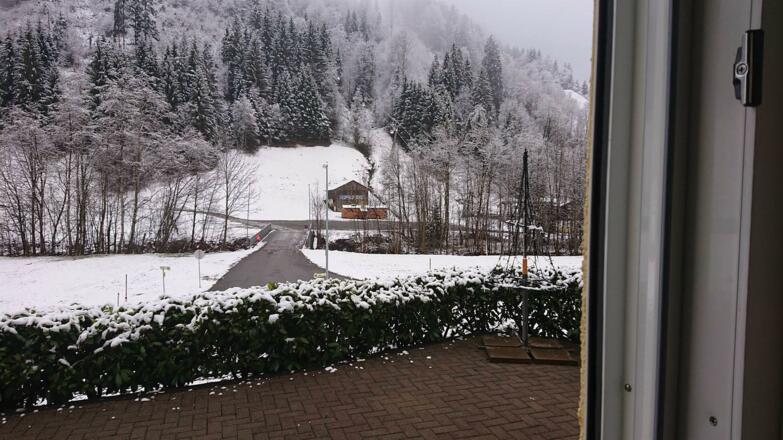 Blick Trolli Lisi 2019