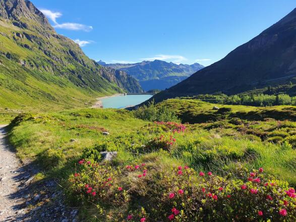 Bilder Michaela 2021 905