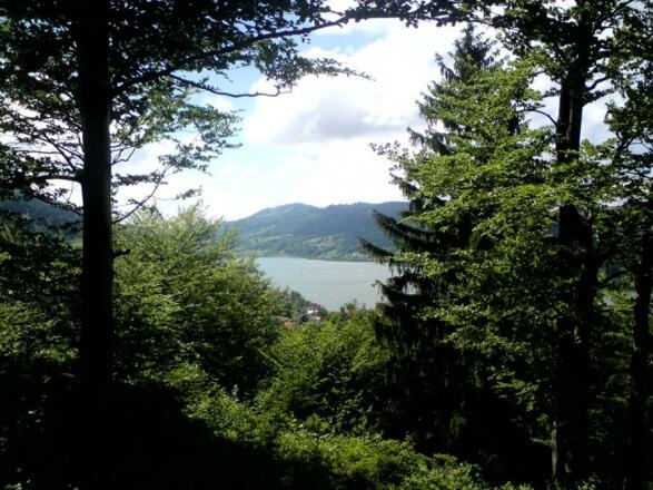 Blick_zum_Mittag_über_den_Großen_Alpsee