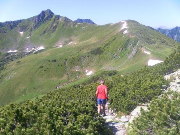 Jufenhöhe und Nordrücken zum Hohen Mahdstein