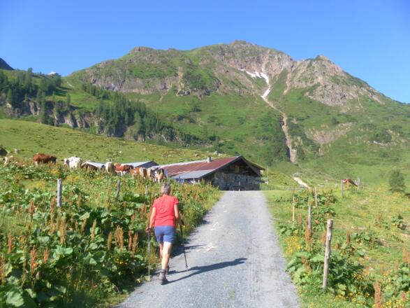 Wildseeloder von der Wildalm