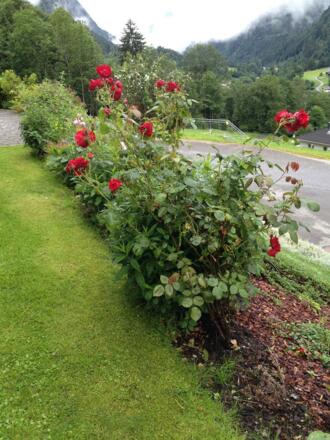 Aussicht vor Haus am Kristberg