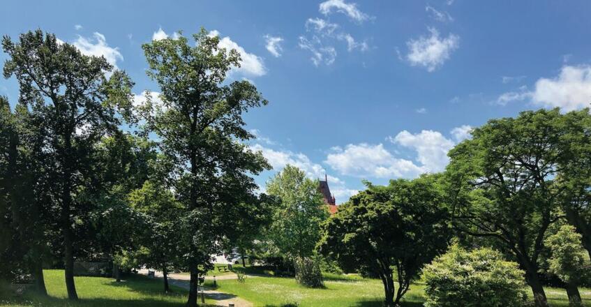 Kobl-Bio-Runde Schlosspark