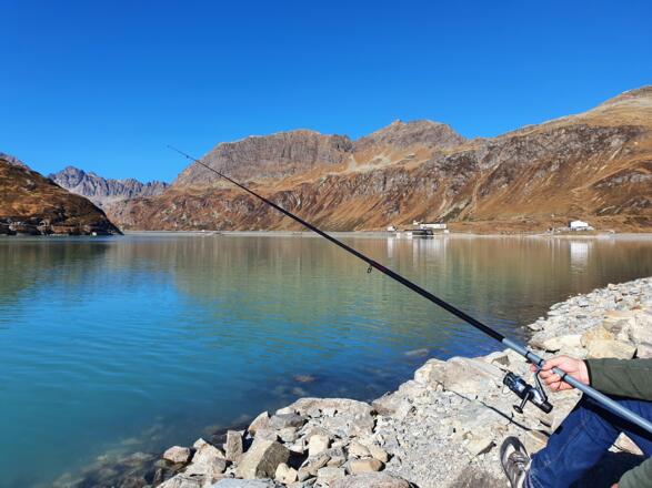 Bilder Michaela 2021 1753