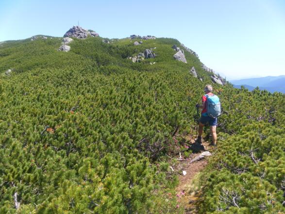 Latschenrücken zum Rabenkopf