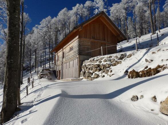 Eigene Alm am Hochsalm im Winter