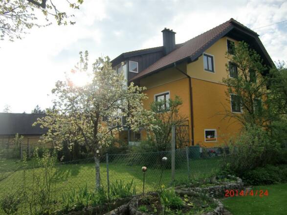 der Garten im Frühling