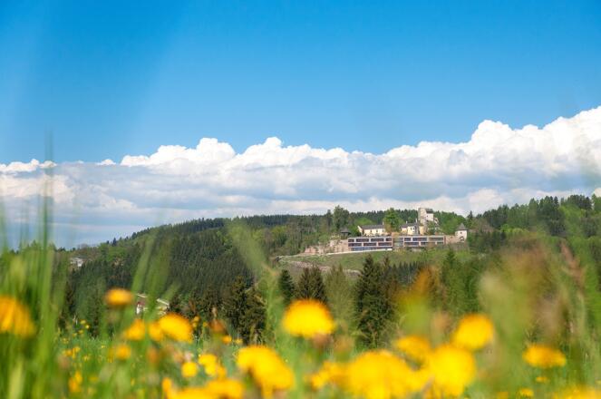 Ansicht Burg Sommer